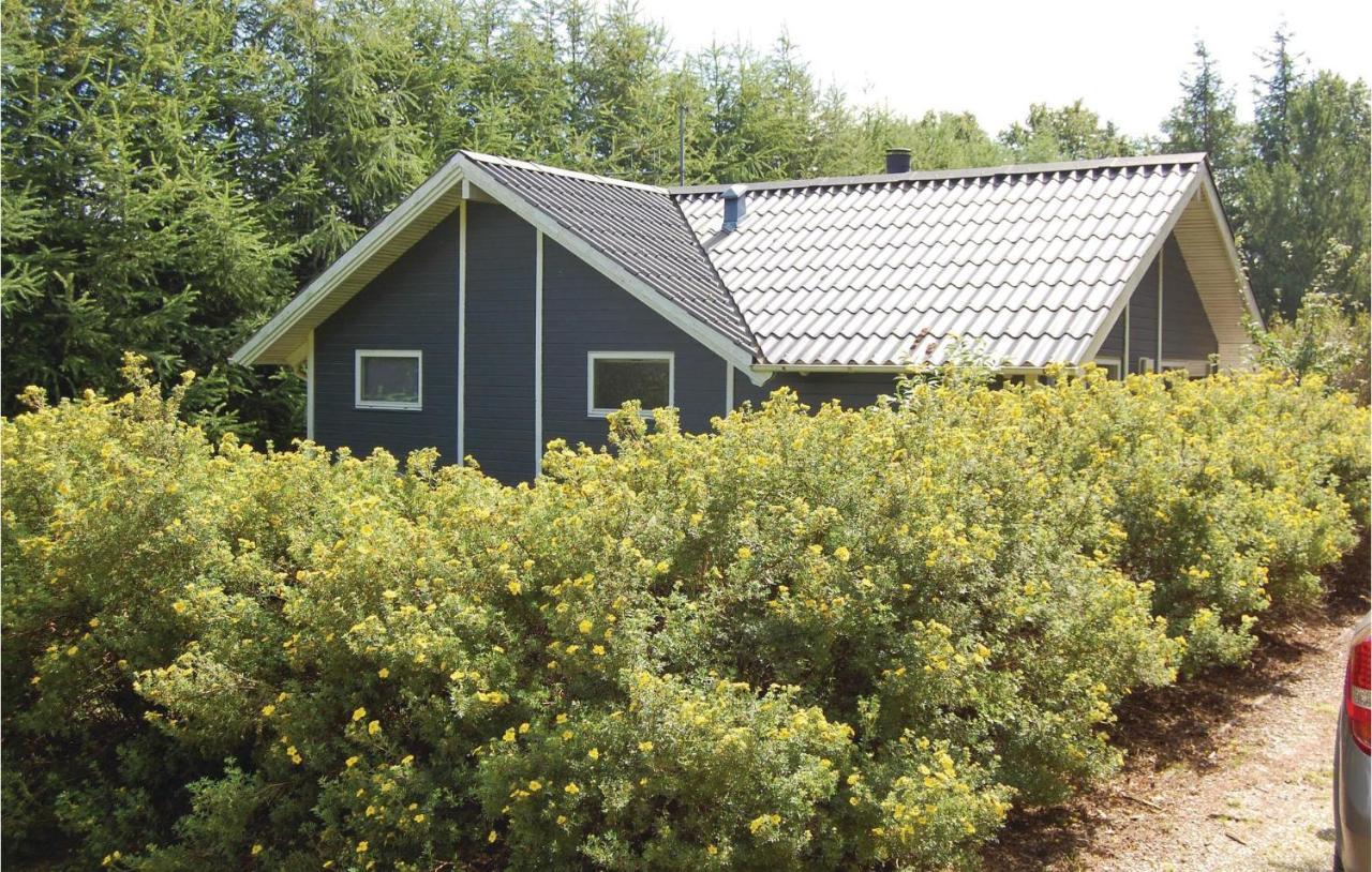 Pet Friendly Home In Oksbol With Wifi 外观 照片
